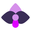 Midnight Orchid